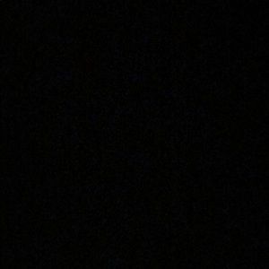 Meet your Posher, Shan